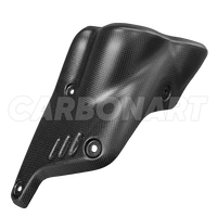 Carbonart - Carenado de Fibra de Carbono Real para DUCATI Diavel V4, Protector Térmico