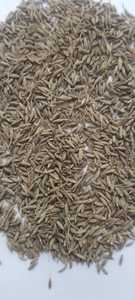 Graines de cumin biologiques pures Approvisionnement agricole durable Qualité supérieure à l'exportation disponible au meilleur prix auprès de l'exportateur indien - Product Image 2