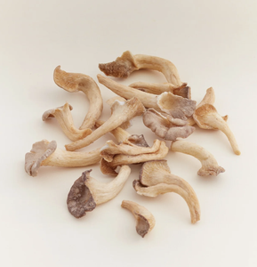 100% CHAMPIGNONS D'HUÎTRES SÉCHÉS PROPRES POUR LA VENTE EN VRAC TAILLE D'EMBALLAGE PERSONNALISÉE PRIX BON MARCHÉ - Product Image 2