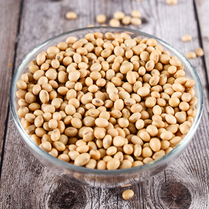 Premium Quality <b>Soybean</b> Seed For High Yield Farming With Certified <b>Soybean</b> Selection For Global Bulk Buyers And Traders - Product Image 4