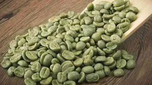 เมล็ดกาแฟเวียดนามอาราบิก้า 100% คุณภาพพิเศษ กระบวนการธรรมชาติ เกรด A+ บรรจุถุง ราคาแข่งขัน คุณภาพสูง - Product Image 3