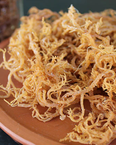 สาหร่ายมอสทะเลแห้ง จำหน่ายจำนวนมาก มีแร่ธาตุสูง - Product Image 1