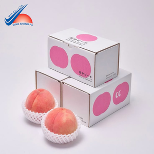 Caja de papel plegable para alimentos para frutas y aperitivos secos-Fácil de montar, ligera y ecológica-Embalaje de papel impreso - Product Image 2