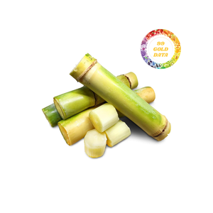 Caña de azúcar procesada congelada de Vietnam envasada a granel para cadenas de jugos y restaurantes - Product Image 2