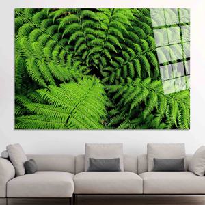 Green Fern Canvas Wall Art: Botanical Print, <b>Framed</b> Option,TEMPERED GLASS ART - Product Image 1