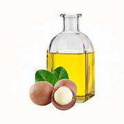 Mayorista Fabricante Fábrica De Aromaterapia Natural Macadamia Carrier Oil 100% Pure And Natural Macadamia Carrier Oil India - Product Image 6