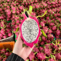 Nieuwe oogst 2024 Verse Dragon Fruit Wit Roze Vlees Graad A Sunrise Merk 9kg Netto met Competitieve Prijs