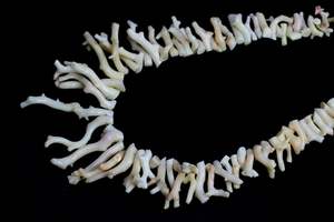 Perles en forme de bâton lisse de corail japonais naturel Perles de pierres précieuses de corail blanc naturel - Product Image 4