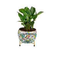 Pot Tanaman Logam Besi Mewah dengan Desain Floral dan Lapisan PE untuk Dekorasi Rumah & Taman
