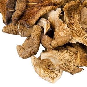 <b>Cultivated</b> Dried Oyster Mushroom Whole Raw Ready for Export in Large Quantities Packaged in Bags for Eating - Product Image 1