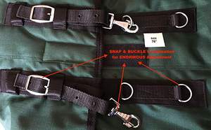 1200 Denier <b>Horse</b> <b>RAIN</b> <b>Sheet</b> (Waterproof/Breathable & Wind Proof Turnout <b>Sheet</b>) Nonperennial RAINSHEET (Black-Turquoise, 72) - Product Image 6