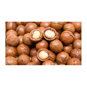 ถั่วแมคคาเดเมีย/แมคคาเดเมียคั่ว - Product Image 4