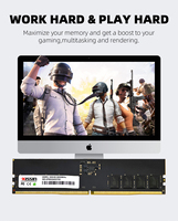 Mémoire RAM PC DDR5 KISSIN 32 Go 16 Go 8 Go DDR5 4800 Mhz 5200 Mhz 5600 Mhz 6000 Mhz DDR5 pour ordinateur de jeu