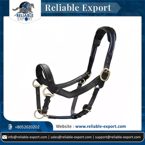 Cabestro de caballo estilo sillín australiano de alta calidad, cuero blanco suave acolchado con hebillas y plomo de cuero con combinación de cadena - Product Image 3
