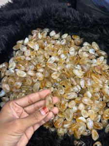 Piedras de Citrino Natural, Pulimentadas, de Alta Calidad y Buena Forma, RAIS AGATE de Gujarat, para el Éxito en la Carrera, la Riqueza y el Vastu - Product Image 4