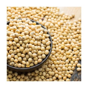 Semillas de soja amarillas naturales y no OGM/soja - Product Image 6