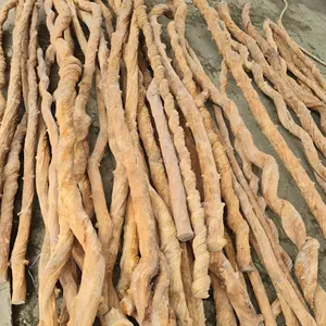 unique roots of liana trees best selling and much sought after roots liana roots for garden and home decoration