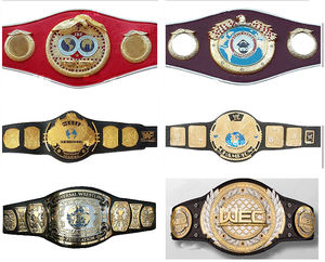 Ceintures de championnat de lutte de qualité supérieure, poids lourd, les plus vendues en 2025, sangles en cuir, logos personnalisés, ceintures en provenance du Pakistan - Product Image 2