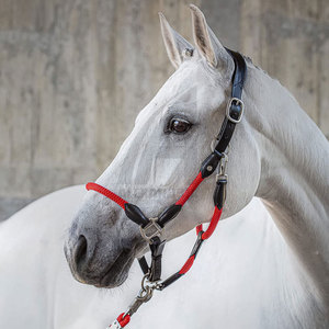 Fabricantes Profesionales de Cabestros para Caballos de Alta Calidad a Precios Económicos, Venta al por Mayor de Cabestros para Caballos con Cuerda de Amarre - Product Image 2