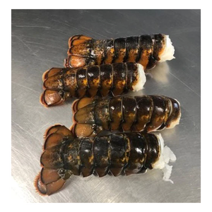 Colas de langosta congeladas, suministro al por mayor, precio económico, mariscos de primera calidad - Product Image 6