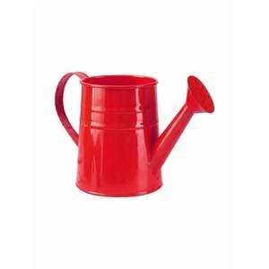 Regadera de metal de alta resistencia ideal para tareas diarias de jardinería que proporciona un flujo de agua constante y una construcción duradera. - Product Image 4