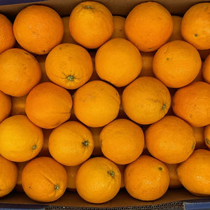 Precio de fábrica, frutas naranjas frescas amarillas naturales a la venta - Product Image 1