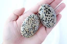 Pierre de méditation ovale en jaspe dalmatien naturel, polie, pour la guérison, la méditation, le Reiki et les chakras, vente en gros, agate de Rais - Product Image 5