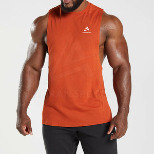 Camiseta sin mangas de verano superventas estilo caliente OEM hombres camisetas sin mangas de gimnasio para culturismo Fitness hombres camiseta sin mangas - Product Image 2