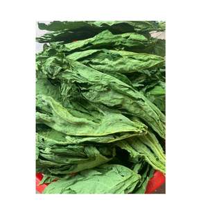 Feuilles de papaye séchées de qualité supérieure, vente en gros, meilleur prix, feuilles de thé de papaye, cultivées à l'état sauvage au Vietnam, pour la fabrication de poudre de feuilles de papaye - Product Image 5