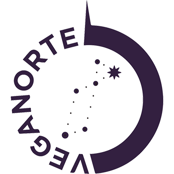 Bodegas Vega Norte logo