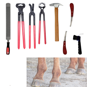 Le kit professionnel de soins du sabot de cheval de haute qualité comprend des pinces à sabot tondeuses marteau couteau fichier brosse Instrument vétérinaire pour - Product Image 1