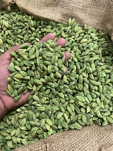 Vainas de Cardamomo Verde Enteras |   Aroma Intenso |   Calidad de Exportación |   Proveedor Global al por Mayor - Product Image 6