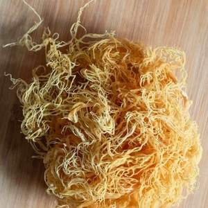 Musgo irlandés natural, precio competitivo, entrega rápida - Product Image 6