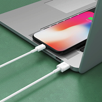 Câble USB standard en PVC Blanco HCB-05-IP 3A 3M pour une charge rapide de l'iPhone
