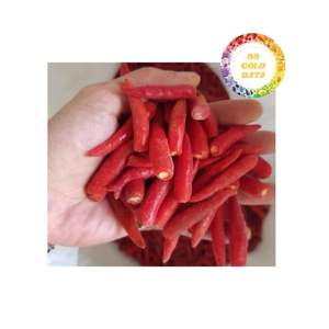 Piment rouge congelé IQF de qualité supérieure du Vietnam délicieux légume épicé pour l'exportation fourniture en gros et au détail - Product Image 5