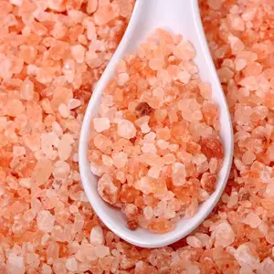 Vente en gros 100% sel blanc pur de l'himalaya et sel rose de l'himalaya