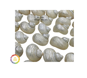 Ronds de serviette en coquillage naturel écologique Conception en osier poli économique Beaux porte-serviettes Nature - Product Image 6