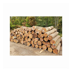 ไม้ฟืน - Product Image 6