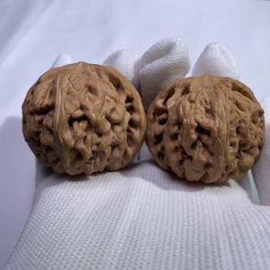 Lámpara de Sal de Piedra Danhong Fuli Coleccionable - Concha Roja Profunda Natural, Técnica Cruda, Forma de Flor, Colección Feng Shui de Gran Valor - Product Image 2