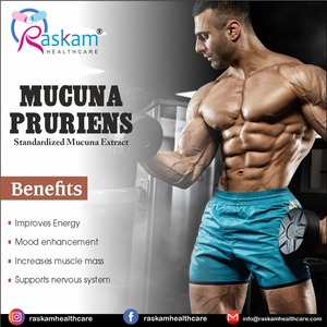 Proveedor de fábrica OEM/ODM Suplemento dietético Mucuna Pruriens Velvet Beans | Kaunch Powder | Potenciador de energía | Vegetariano | - Product Image 2
