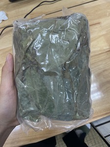 ถุงชาแบบมีสารสกัดจากใบทุเรียนเทศแห้ง - Product Image 4