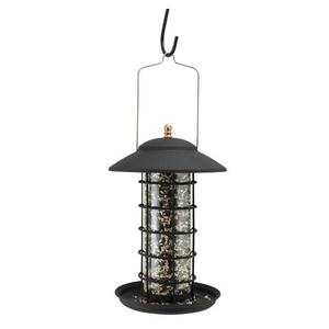 Colibri oiseau maison décorative métal oiseau alimentation brillant perroquet vert couleur lanterne forme suspendue pour oiseaux élégant jardin - Product Image 4