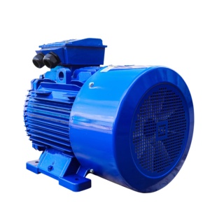 Motor superior 380V 50Hz 60Hz Trifásico Alta eficiencia 0.18kW 315kW IP55 Asíncrono Nuevo IP56 AC Motor eléctrico para maquinaria - Product Image 1