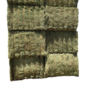good price alfalfa hay , high quality , fresh crop for cheap