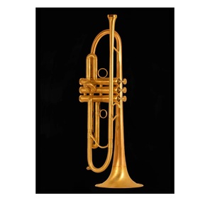 Corne de clairon en laiton faite à la main avec finition antique parfaite pour la décoration de cadeaux et les collectionneurs musicaux - Product Image 2