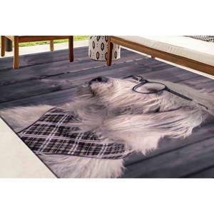 Alfombra Impresa: Alfombra para Entrada, Alfombra con Diseño de Perro y Gafas, Alfombra con Diseño de Animales Adorables, Alfombra de Terciopelo - Product Image 3