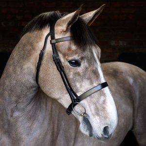 กรงเอี๊ยมยกม้า - ฮาวาน่า กรงเอี๊ยมกายวิภาค กรงเอี๊ยมยกม้ากายวิภาค กรงเอี๊ยมดีลักซ์ หนังยกกายวิภาค - Product Image 6