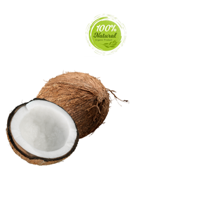 Coco seco: un ingrediente versátil en comidas bajas en carbohidratos y ceto - Product Image 4