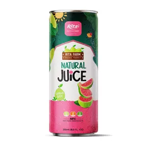 Wholesale Guava Fruit Juice 250ml Canned RITA OEM Manufacturer Beverages From Vietnam Soft Drink