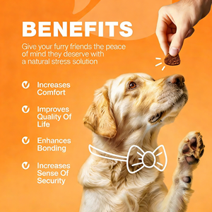 Complément alimentaire pour allergies aux chiens et aux chats OEM/ODM, comprimés à mâcher souples, soulage les allergies saisonnières, renforce l'immunité, soulagement sain des démangeaisons, apaise la peau - Product Image 4